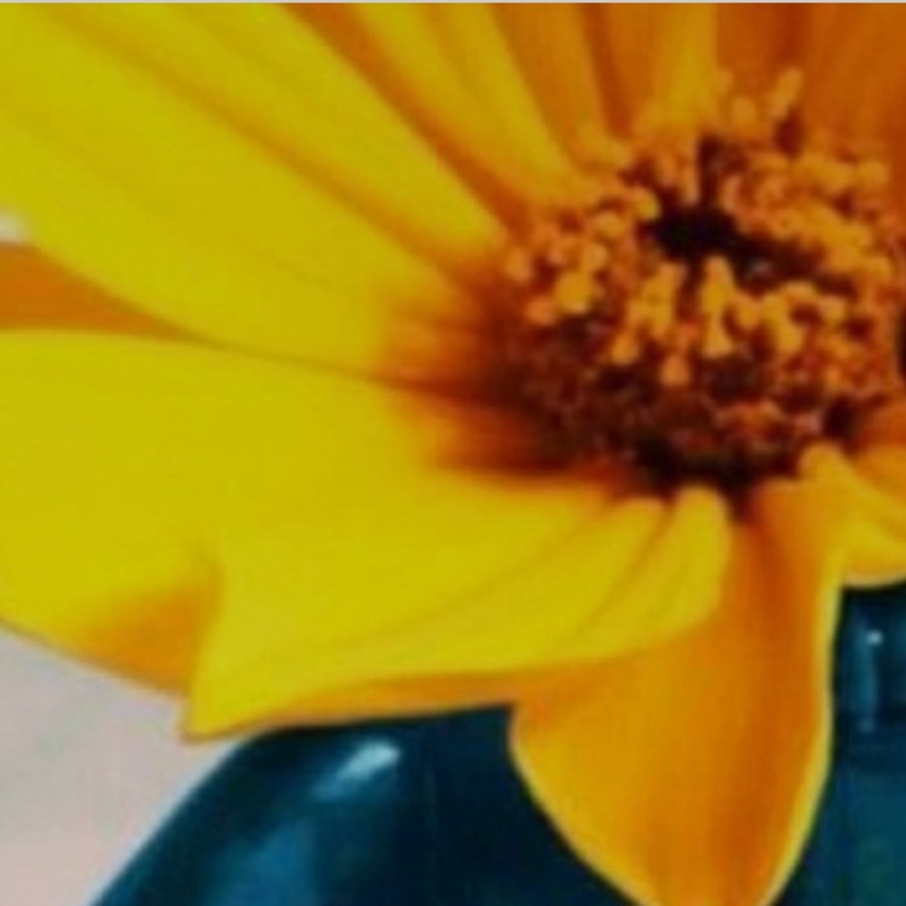 Meet your Posher, Angelica